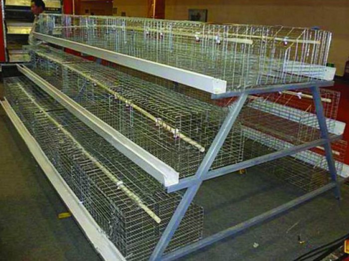 阶梯式笼养系统-鸡笼,水线,料线-山东双阳机械有限